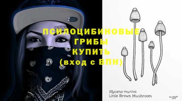 а пвп мука Анжеро-Судженск