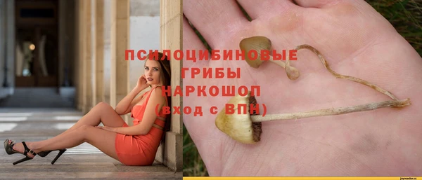 тгк Михайловка