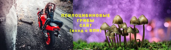 гидра Михайлов