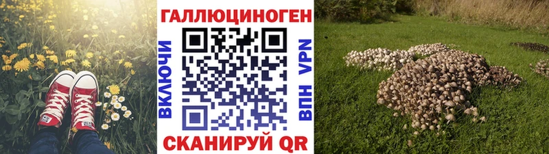 Галлюциногенные грибы Magic Shrooms  закладка  Жиздра 